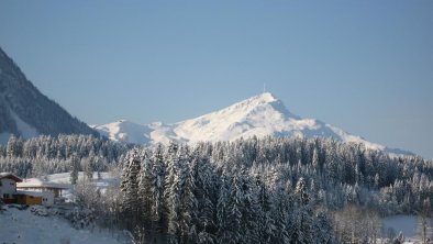 Blick auf das Kitzbüheler Horn