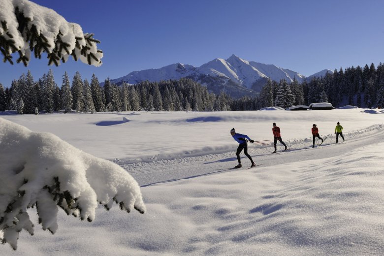 Langlaufen in Osttirol
, © TVB Osttirol/Lugger