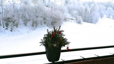 Aussicht Balkon - Horn Lounge - Winter