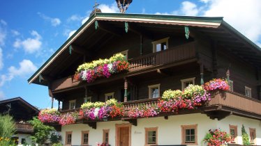 Obertann Sommerfoto