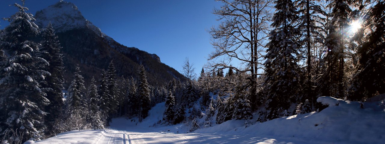 Langlaufen auf der Guffertloipe, © Achensee Tourismus