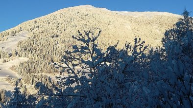 Blick auf Thurntaler