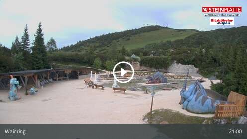 Webcam Triassic Park