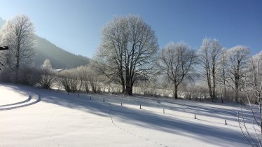 Landschaft Winter