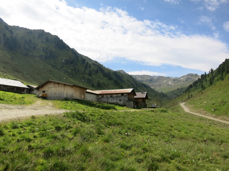 Auf der Tripplonalm ist Siml natürlich wohlbekannt.