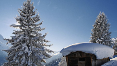 Winter_am_Arlberg_Haus_Alpenrose