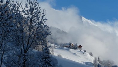 Oberbichlerhof von Hinterbichl aus, © berger bernhard