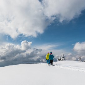 Winterwandern in der Region Wilder Kaiser, © TVB Wilder Kaiser