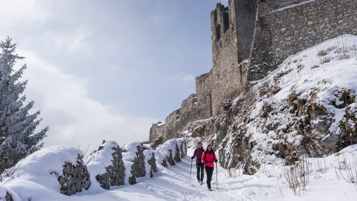 Winterwandern an der Ruine Ehrenberg