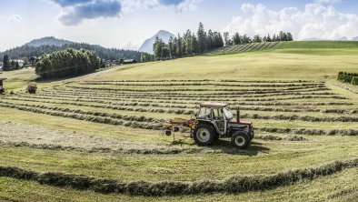 Balkonblick-Sommer