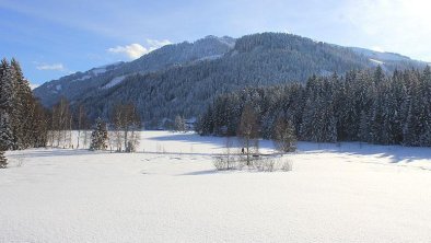 Im Winter mit Blick auf den See 1