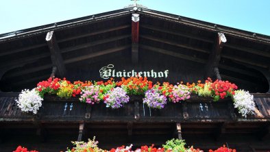 Blaikenhof-Niedermoser-Sommer-Header