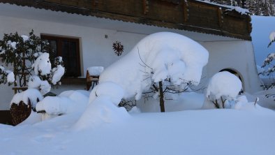 Garten im Winter