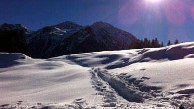 Winterlandschaft, © Edith Winkler