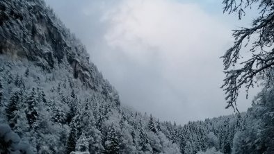 bergelsteinersee