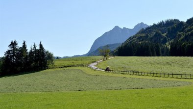 Ausblick vom Ellmererhof Richtung Wilder Kaiser