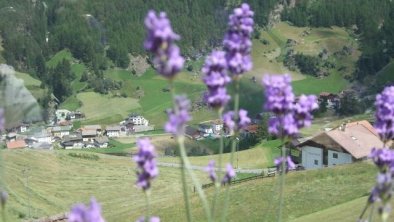 Landschaft im Sommer