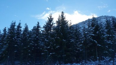 Wald und Berge, Winter