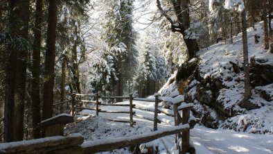 Winterlandschaft