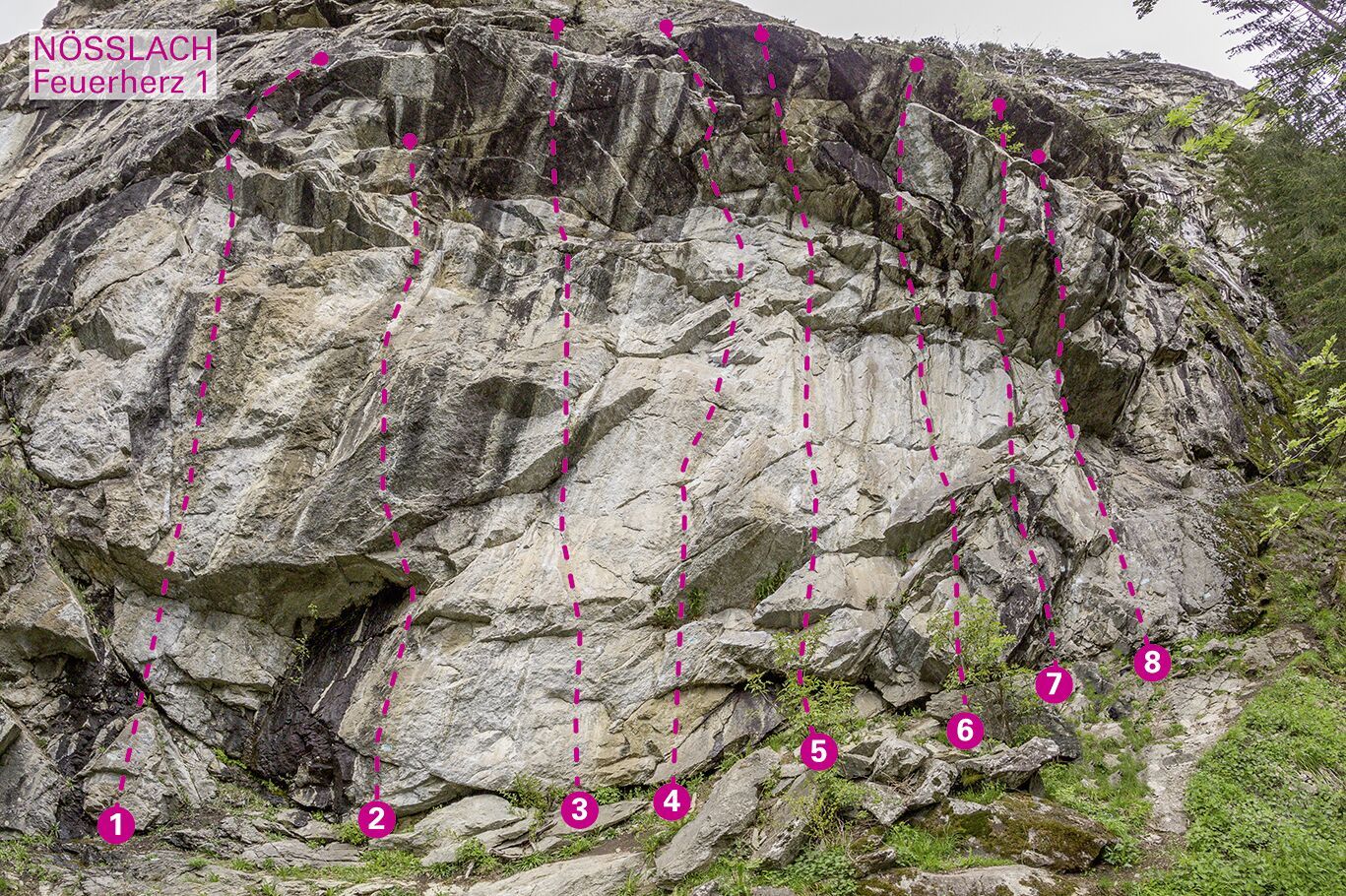 Topographie