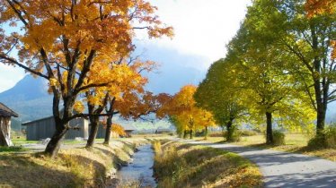 Spazierweg bei Ehrwald