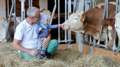 Tiere am Bauernhof1