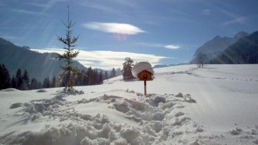 Winterpanorama vom Ellmererhof