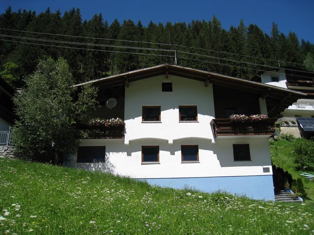 Ein traditionelles Haus in den Alpen mit einem grünen Rasen und blühenden Pflanzen. Im Hintergrund sind hohe Bäume und ein klarer Himmel zu sehen.