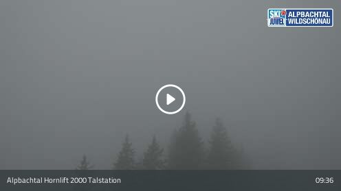 Webcam Hornlift 2000 Talstation