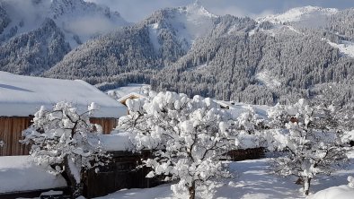 Blick vom Balkon