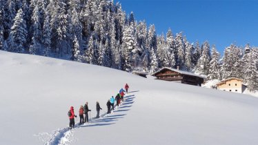 Schneeschuhwanderung Reitherkogel, © Alpbachtal Seenland