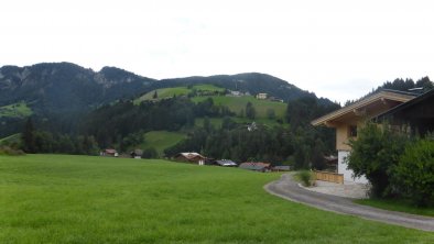 Wiese am Schwaighof