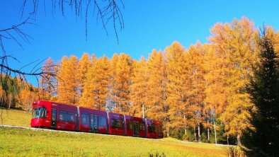 Stubaitalbahn Herbst