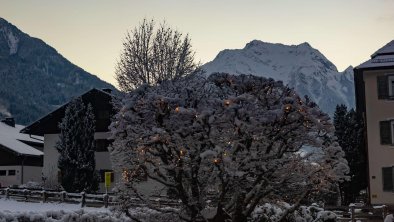 Hornegger-Winter-2018-3, © 2021