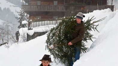 Vater & Kinder beim Christbaum holen, © Alpbachtal Tourismus