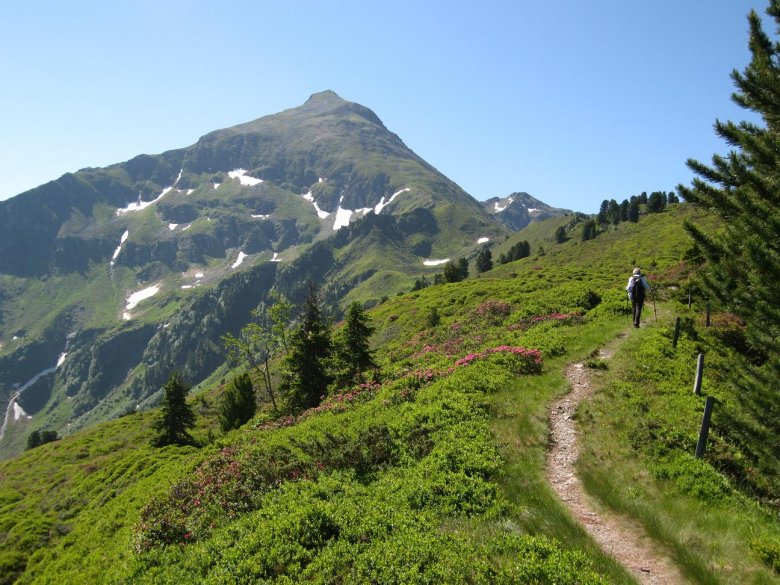 Der Große Galtenberg. Foto: ÖAV Sektion Vorder-Ötztal/Schrott.