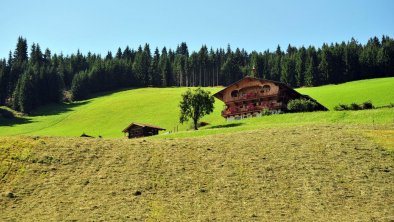 Flecklhof-Sommer-Header