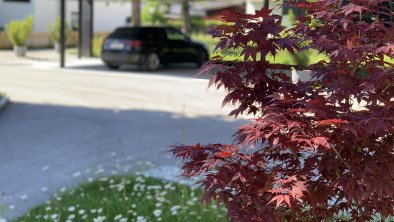 Carport, © Alpenblick