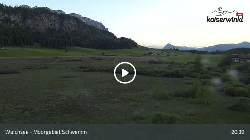Webcam Moorgebiet Schwemm