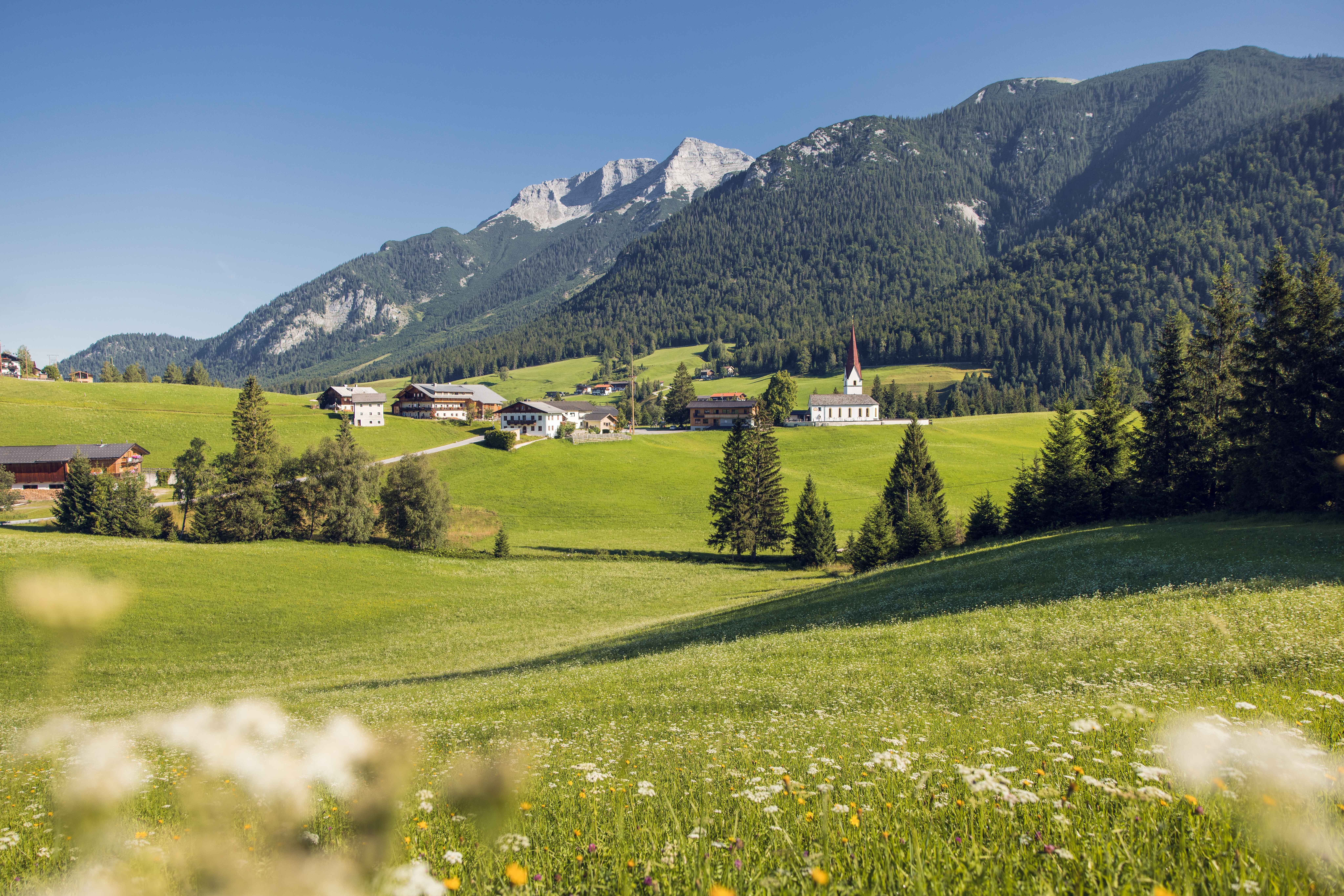 Steinberg am Rofan, Blumenwiese mit kleinem Ort und Bergen im Hintergrund