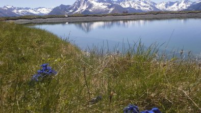 Relaxen im Zillertal