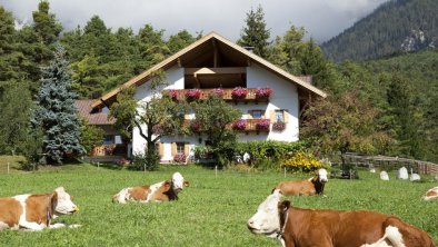 Gasthof Lehen mit Bauernhof