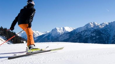 winter_skifahrer_3_06