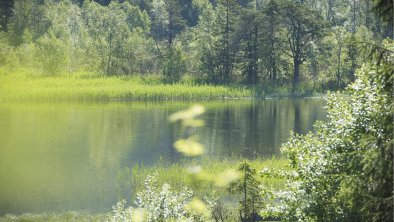 Balkonaussicht im Sommer