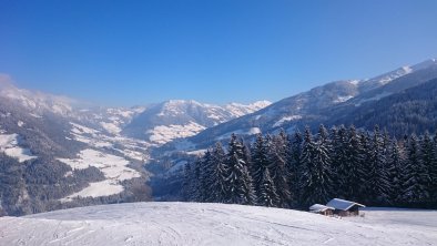 Blick vom Reither Kogel ins Alpbachtal, © Rendl Elisabeth