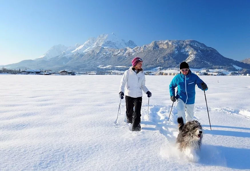 Winterwandern mit Hund in St. Johann, © Stefan Eisendle