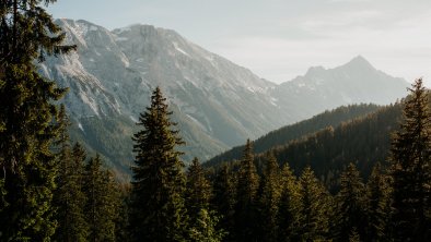 Natur im Gaistal - Leutasch, © Region Seefeld