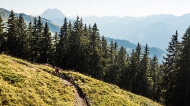 Singletrail Fleckalm in Kirchberg, © Eye5 / Carlos Blanchard