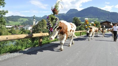 Almabtrieb Reith im Alpbachtal Tirol (52), © Alpbachtal Tourismus