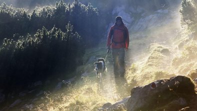 Wandern mit Hund, © Alpbachtal Tourismus / Vorhofer Christian